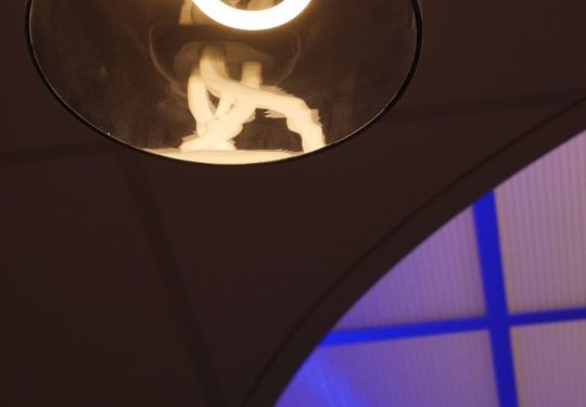 Image 2 du projet Musse Peugeot - salons Coupoles 3&4